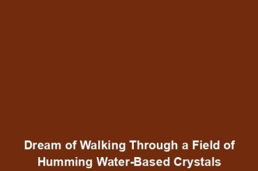 Dream of Walking Through a Field of Humming Water-Based Crystals