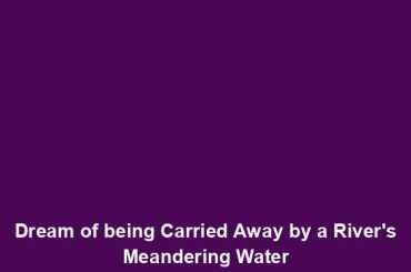 Dream of being Carried Away by a River's Meandering Water