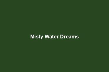 Misty Water Dreams