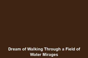 Dream of Walking Through a Field of Water Mirages